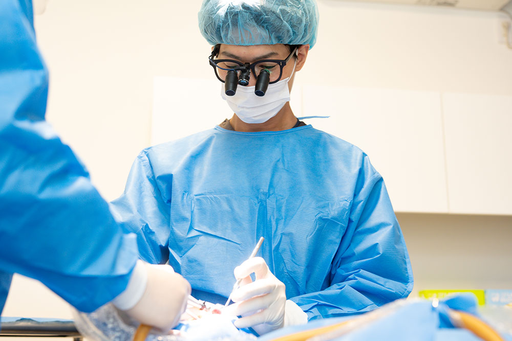 骨や歯の状態に関わらず、難しいとされる症例にも対応